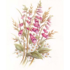 PRINT ROB POHL COLLECTION Wild Flower Sprays 1